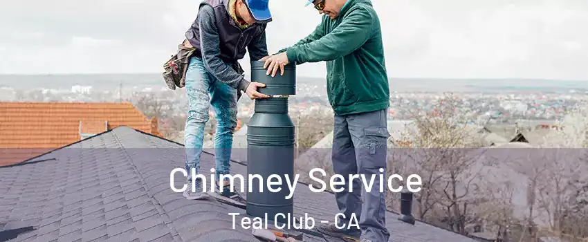 Chimney Service Teal Club - CA