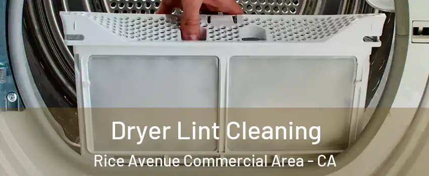 Dryer Lint Cleaning Rice Avenue Commercial Area - CA