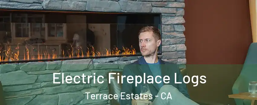 Electric Fireplace Logs Terrace Estates - CA