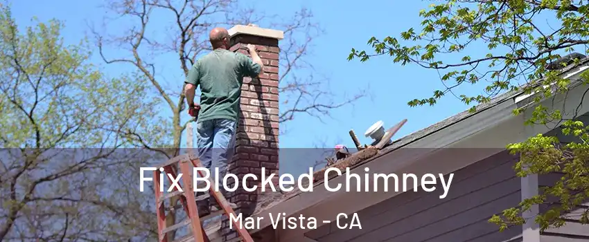 Fix Blocked Chimney Mar Vista - CA