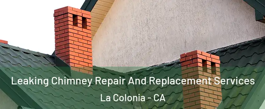 Leaking Chimney Repair And Replacement Services La Colonia - CA